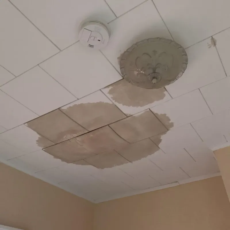 Ceiling Water Damage Repair in Wallace, FL